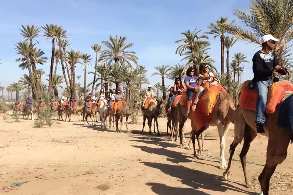 Top Outdoor Activities to Experience in Marrakech