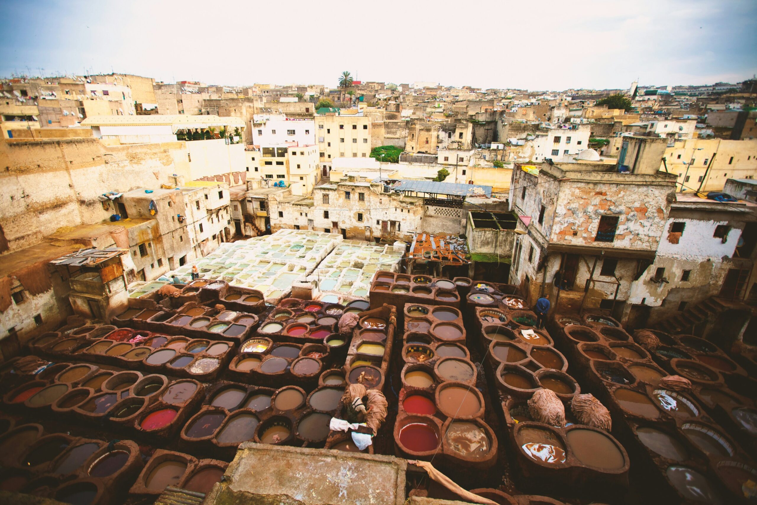 Discover the Rich History and Culture of Fes