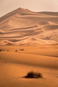  Casablanca al Desierto  Sahara 