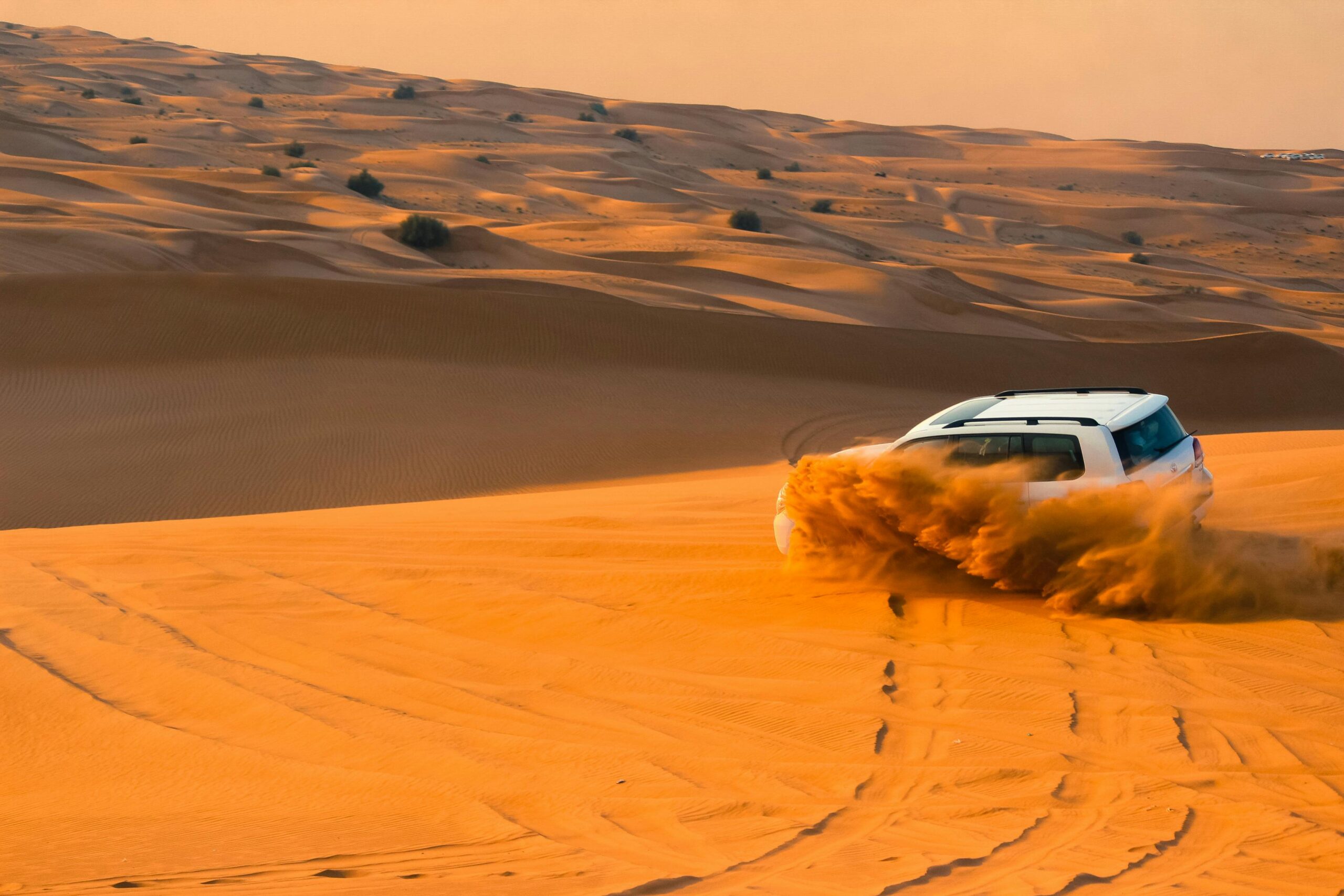 Paseos en Camello por Marruecos: un viaje a través del tiempo y la arena