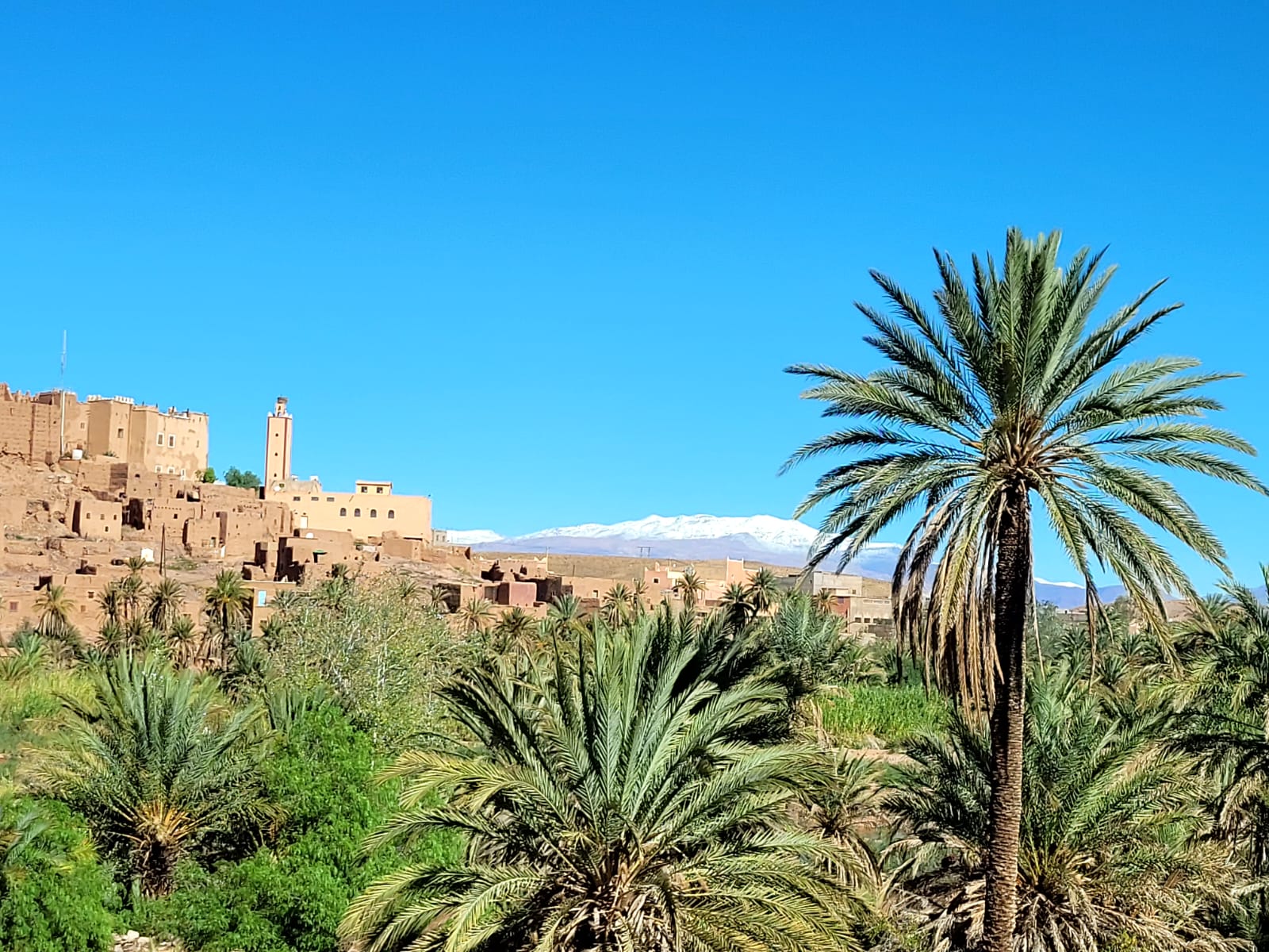 Atlas Mountains Trekking: A Complete Guide to an Unforgettable Adventure