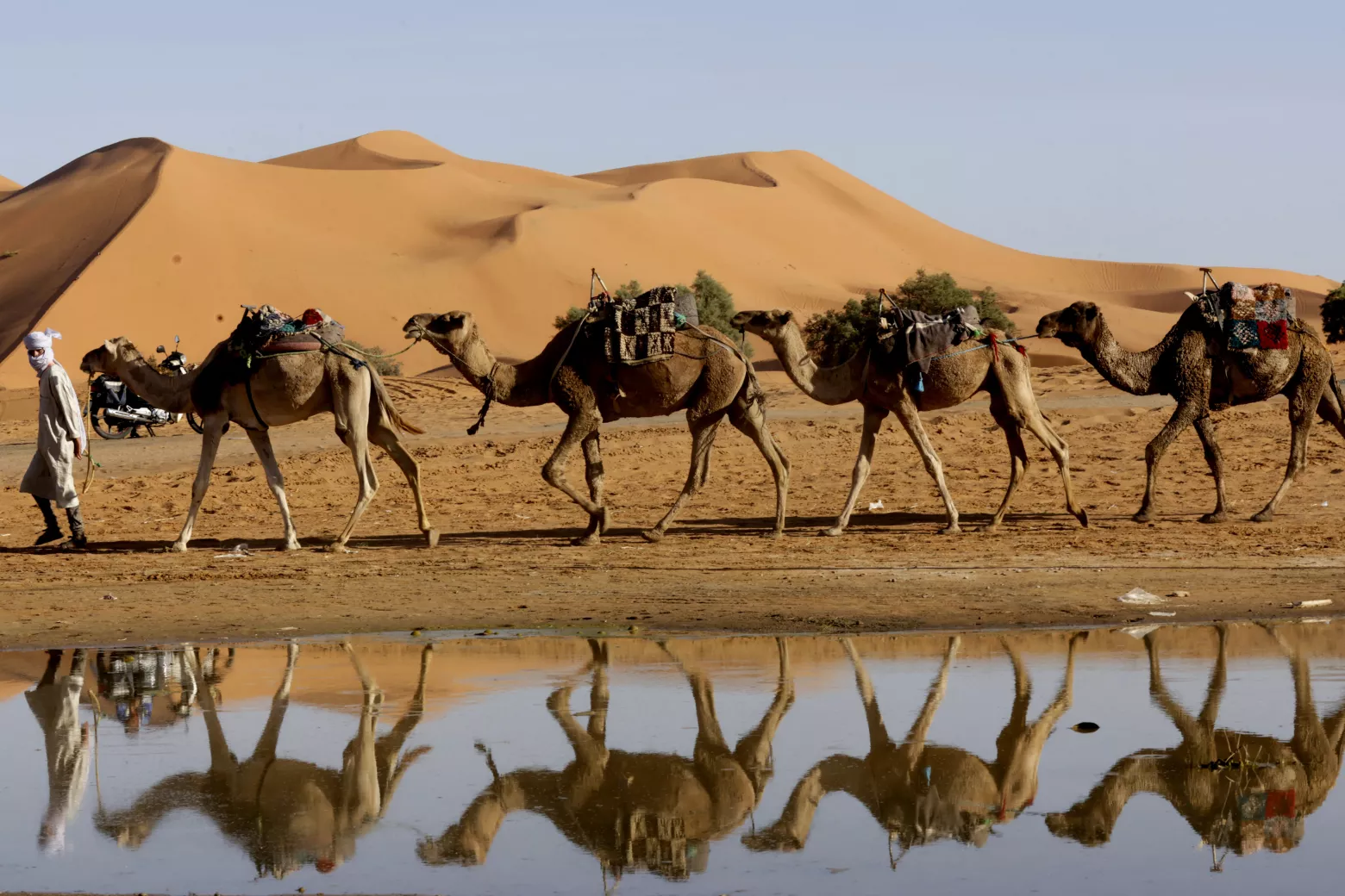 Las lluvias en el desierto de Merzouga