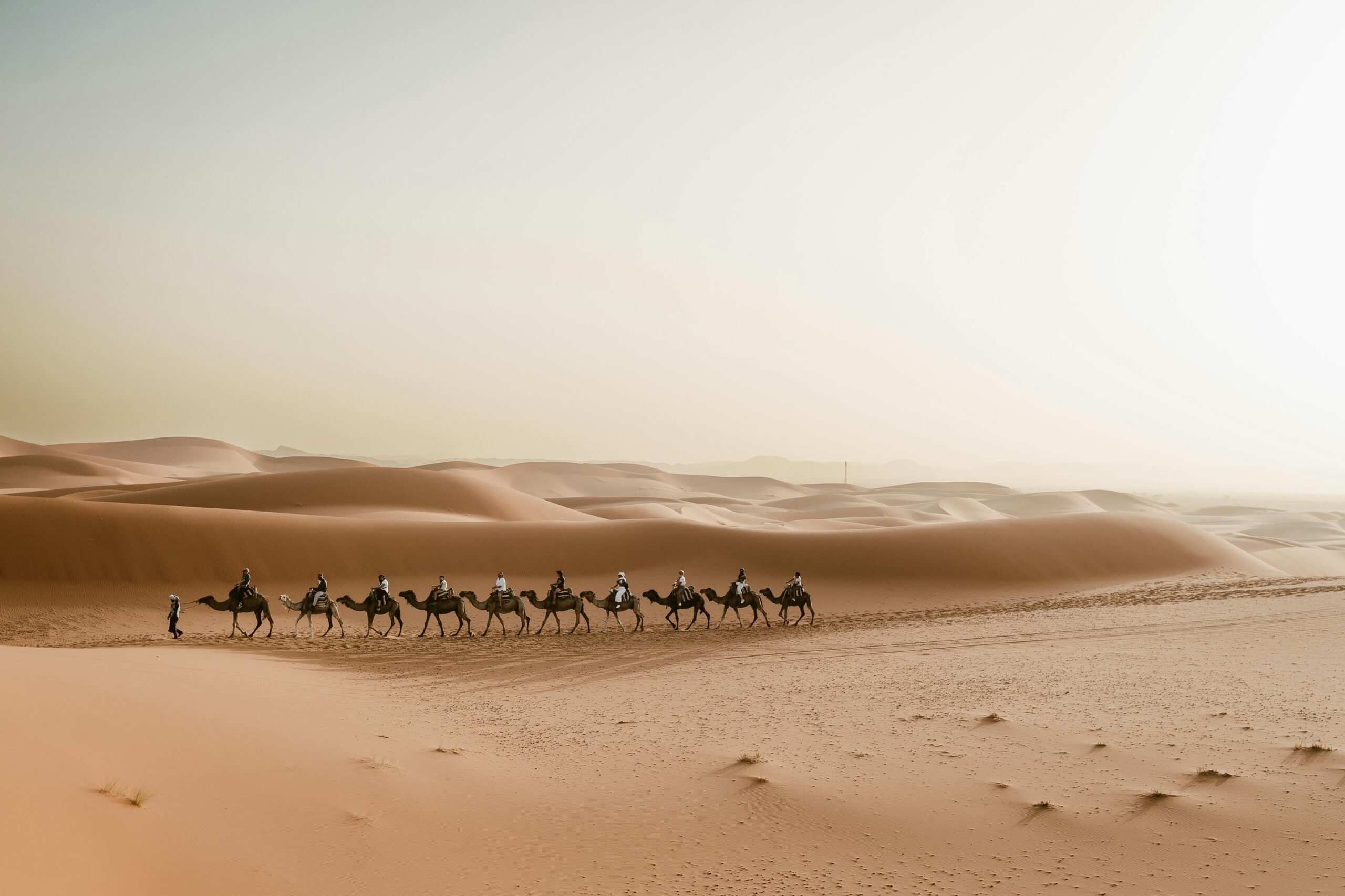 Explora las Mejores Excursiones al Desierto en Marruecos