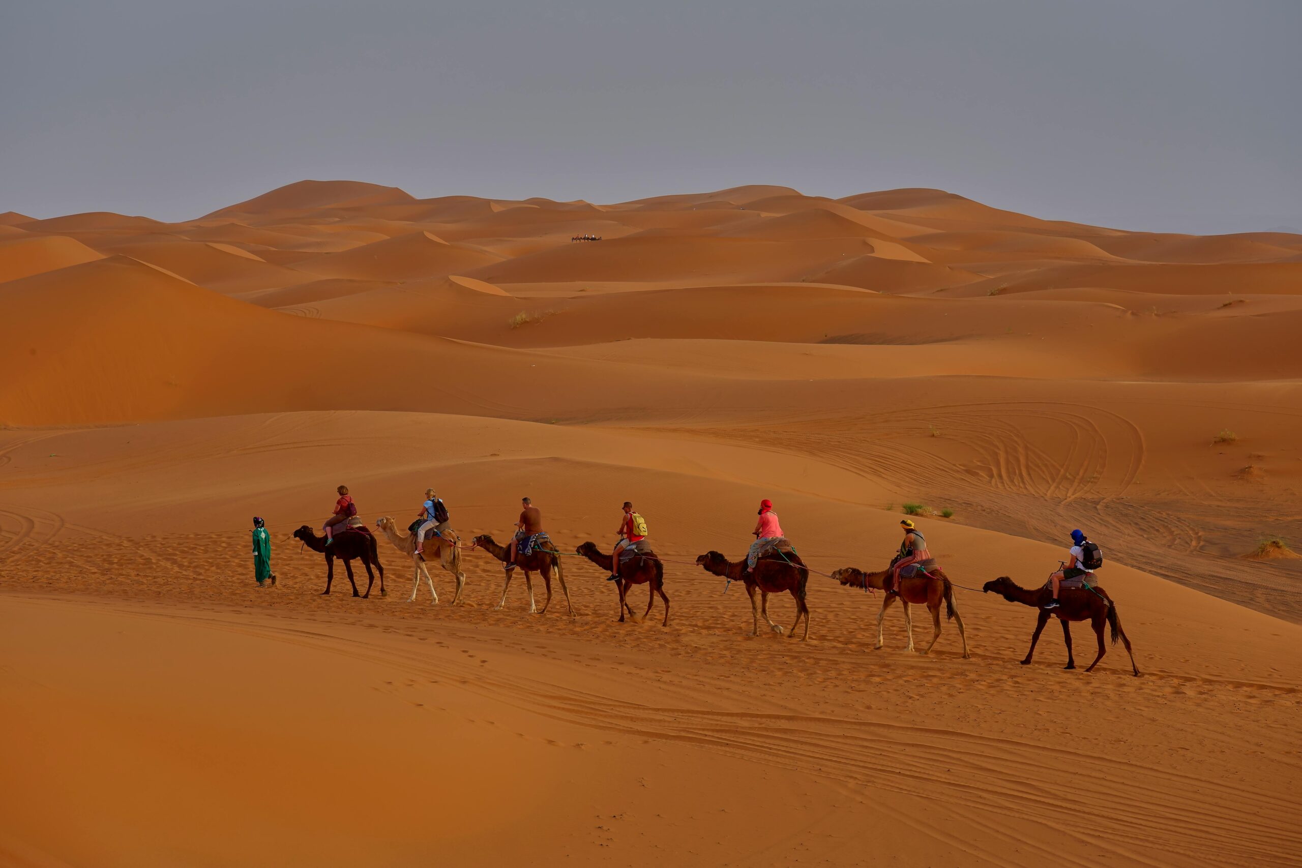 Camel Trekking in Morocco: An Unforgettable Experience