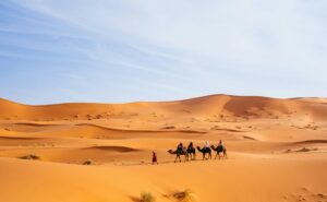 Merzouga Tours