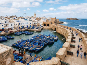 Day Trip to Essaouira