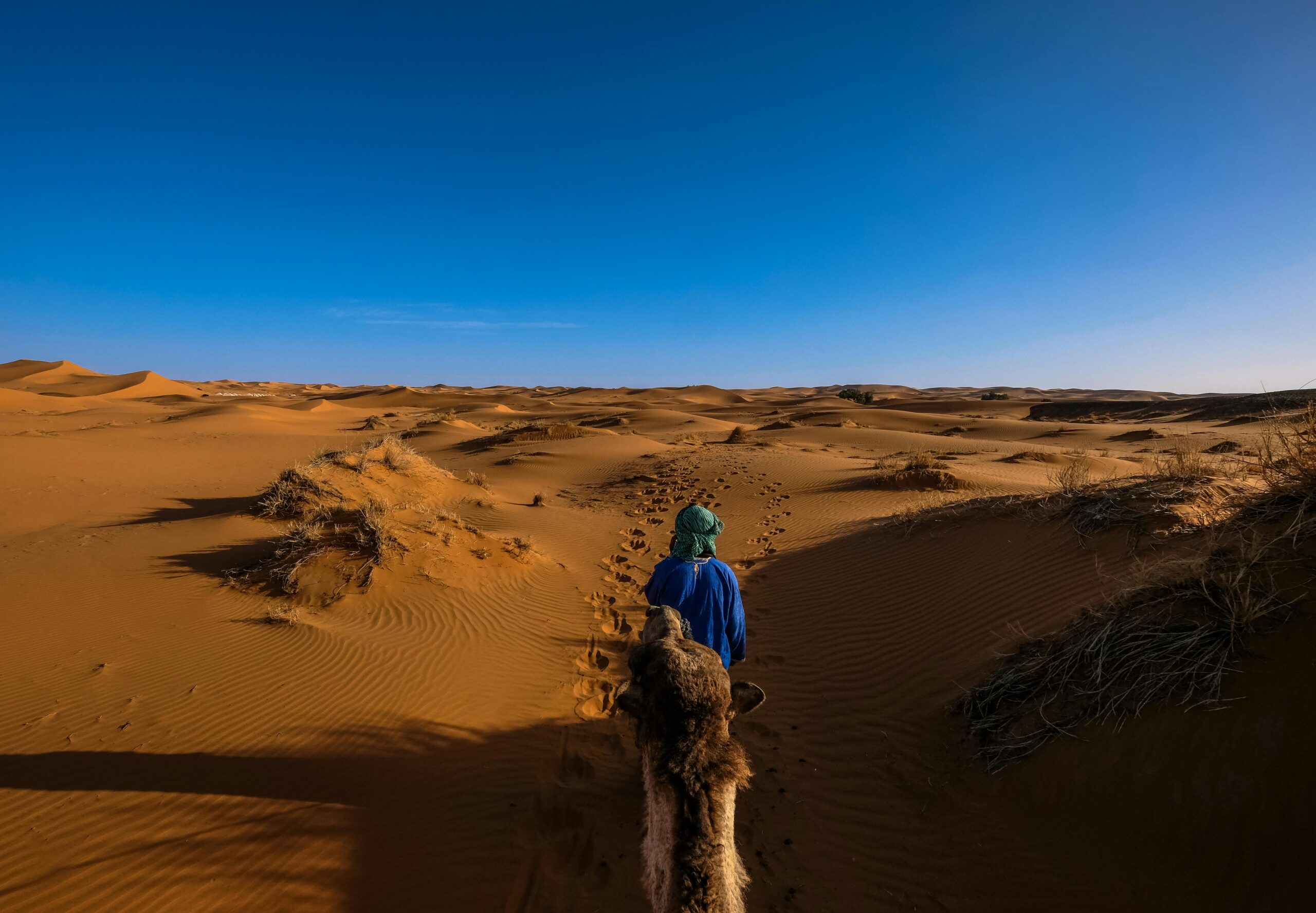 The Magic of the Moroccan Desert: How to Plan Your Desert Adventure