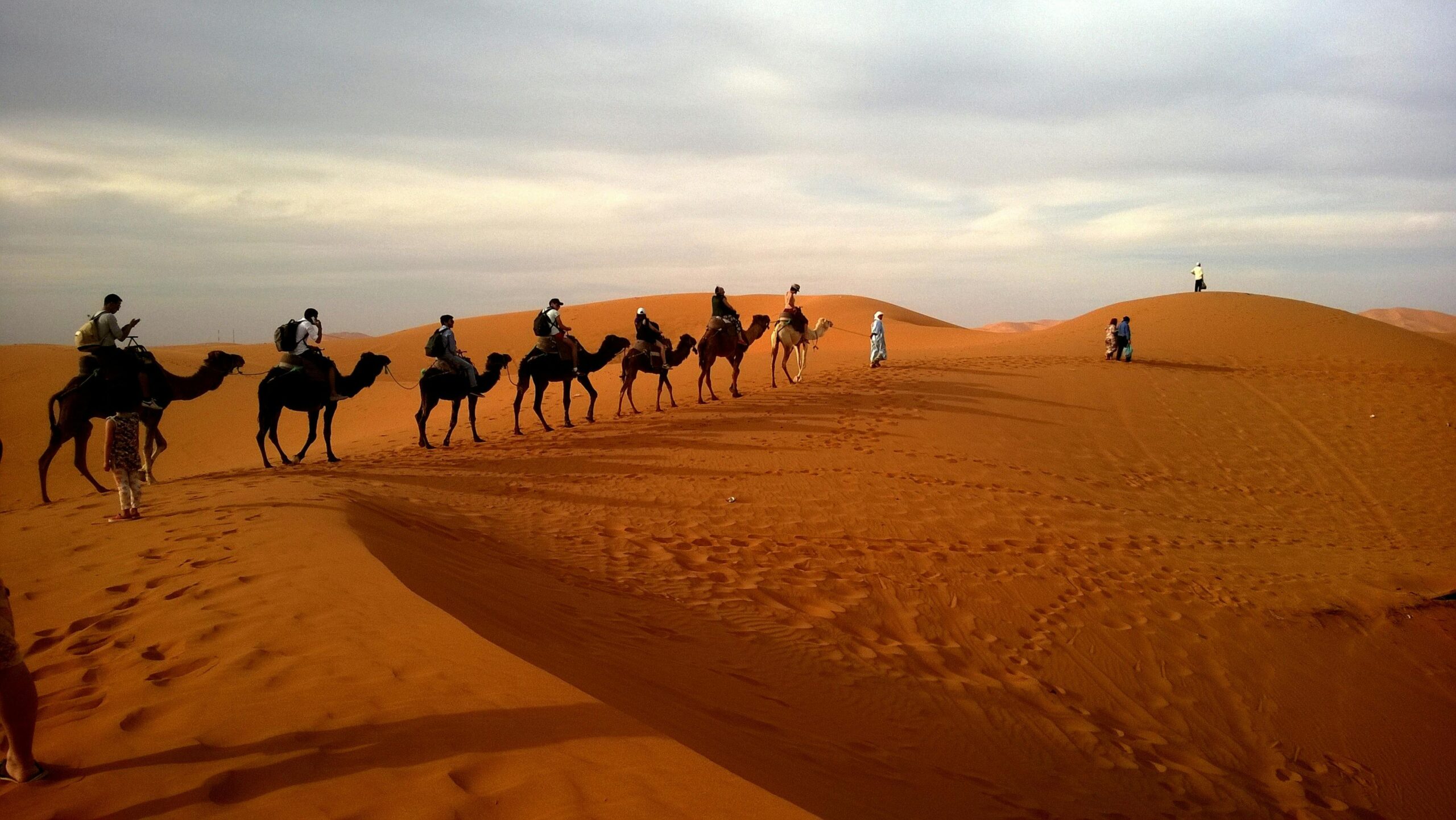 Discover Marrakech with Dunes & Desert – Ergaventure