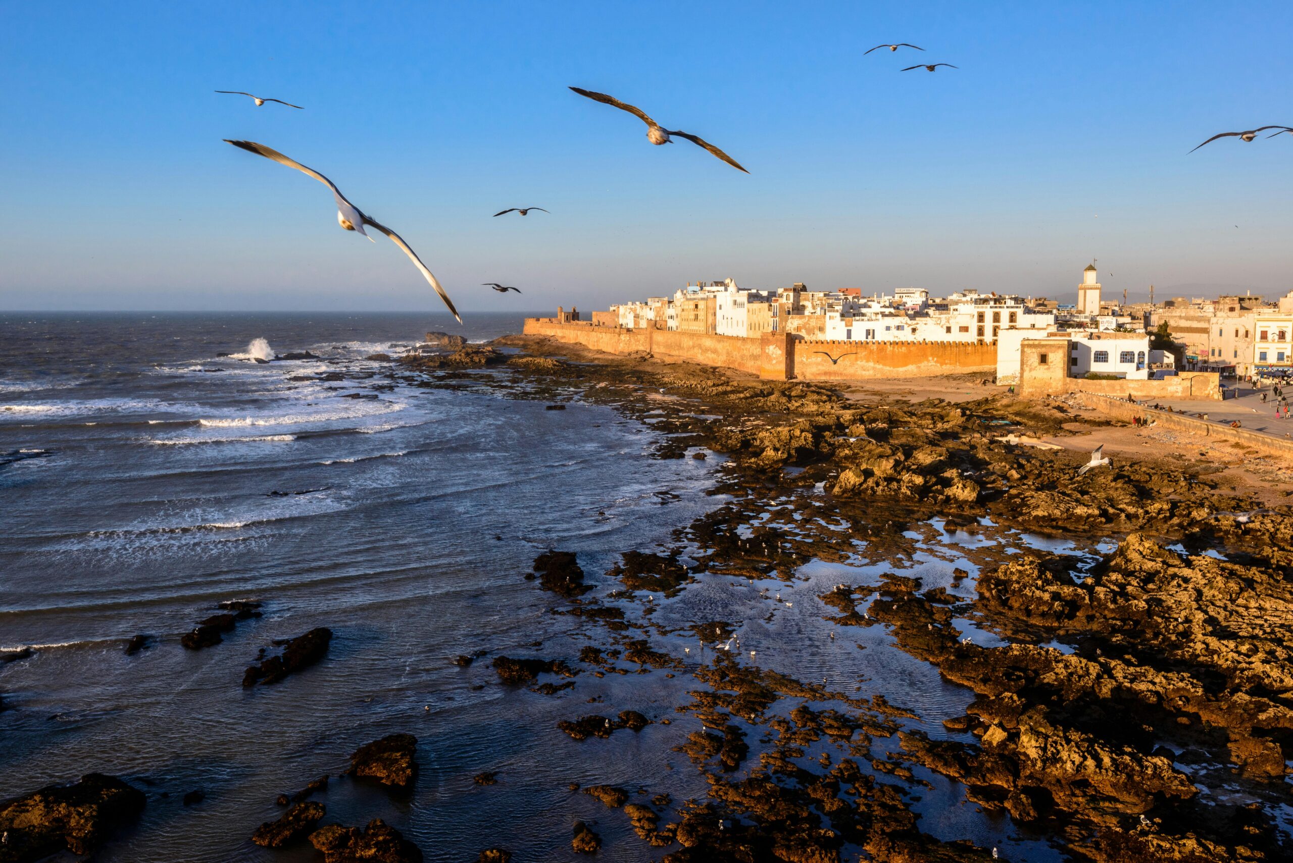 Essaouira Day Trips