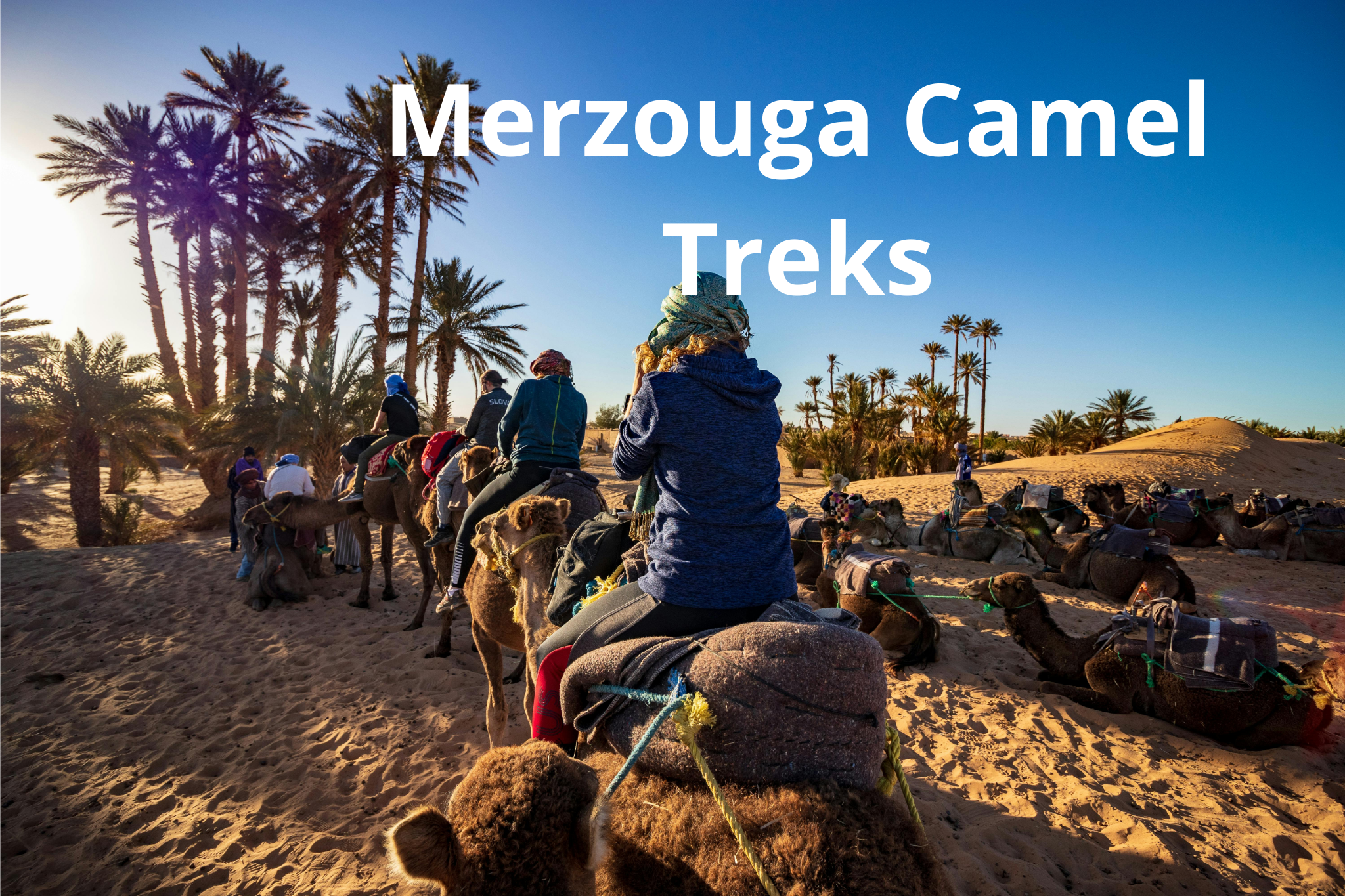 Experience  Merzouga:  Camel Treks in the Sahara Desert