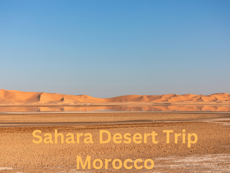 How to Plan Your Sahara Desert Trip in Morocco 2025?