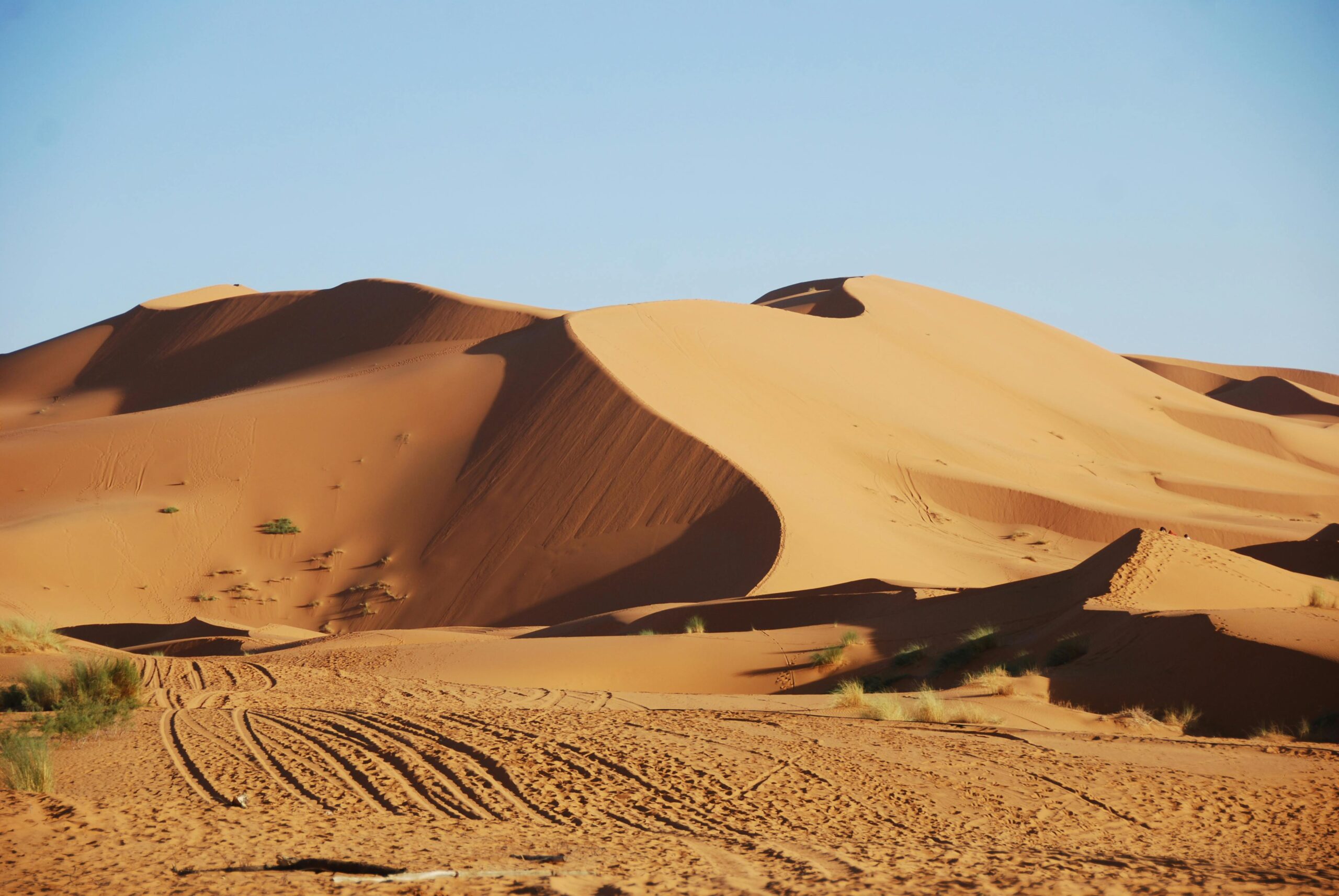 Mejores Experiencias de Yoga en el Desierto de Merzouga