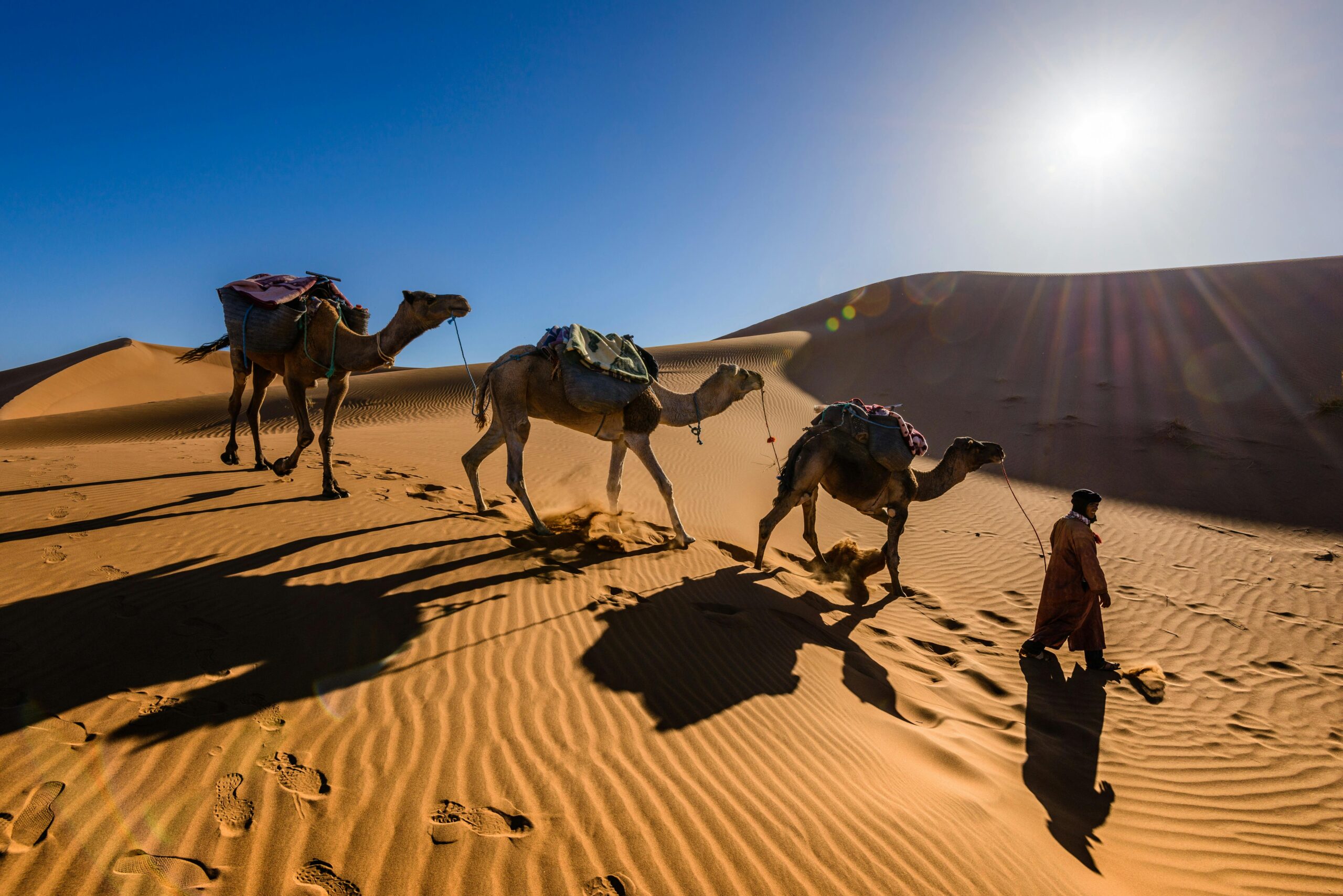 Mejor Excursión Al Desierto Desde Marrakech