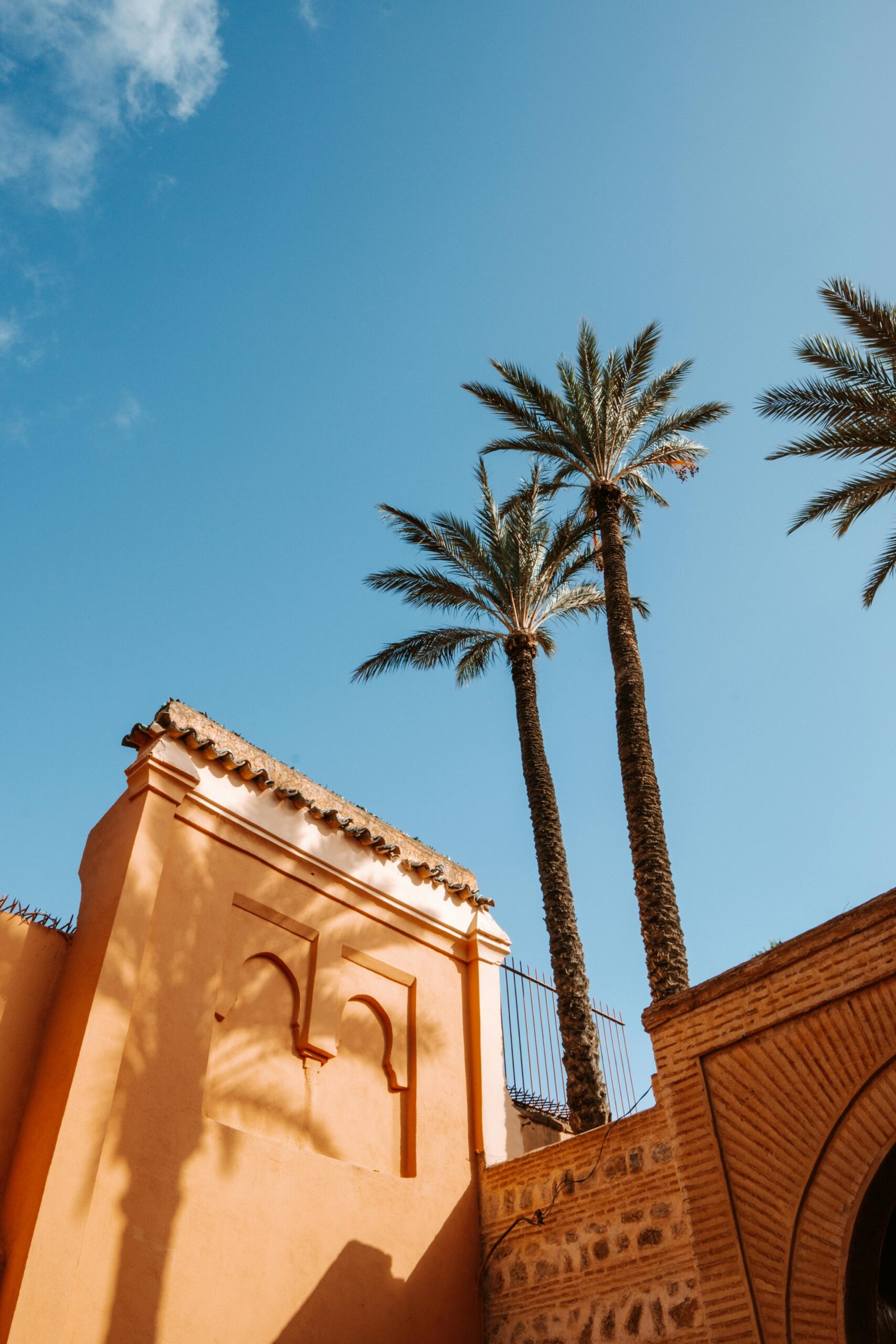 Excursión de un día al Alto Atlas desde Marrakech