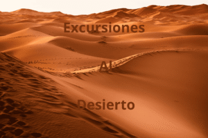 Excursiones al desierto
