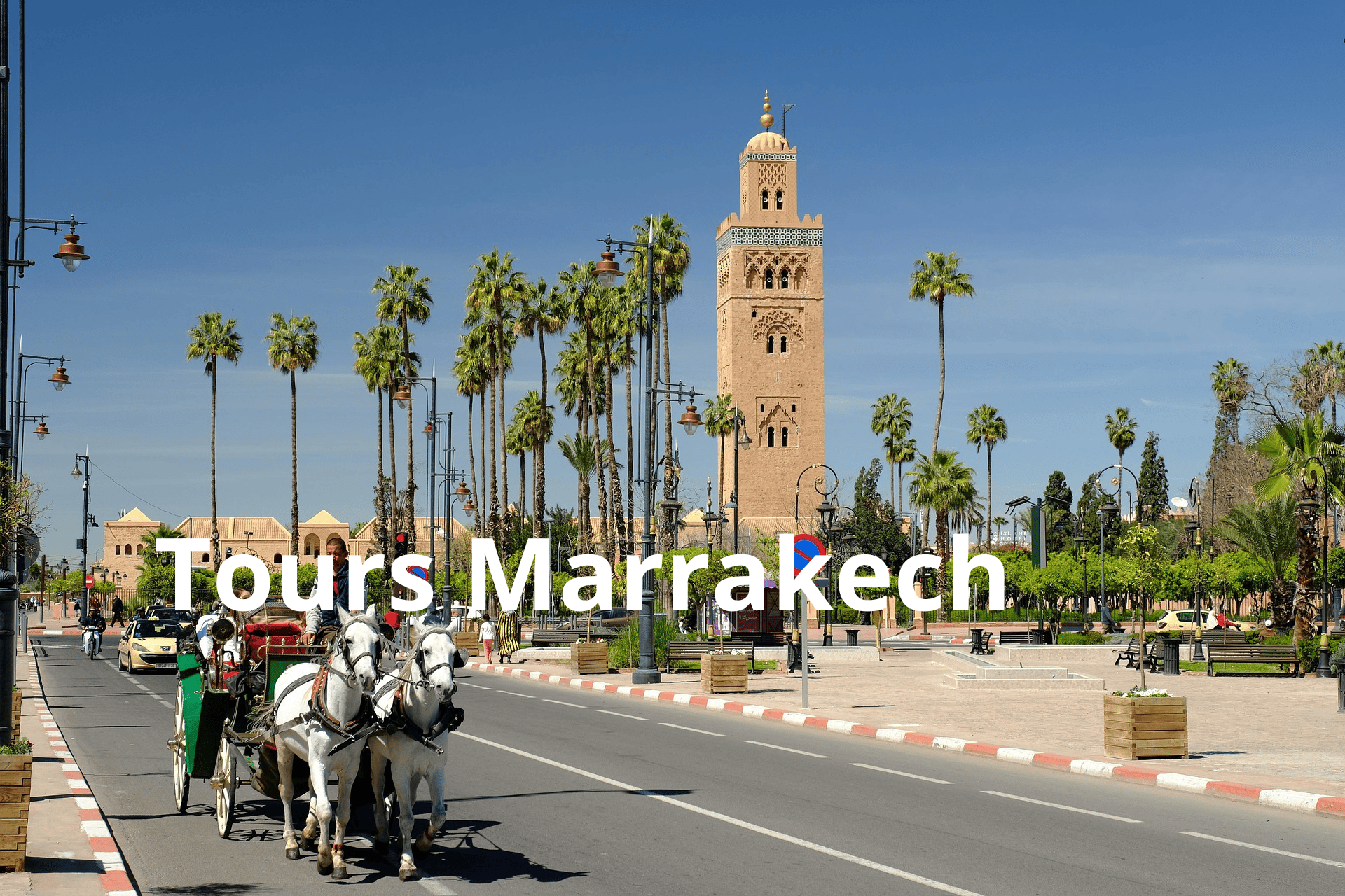 Tours Marrakech: Camel Rides, Excursions and Day Trips
