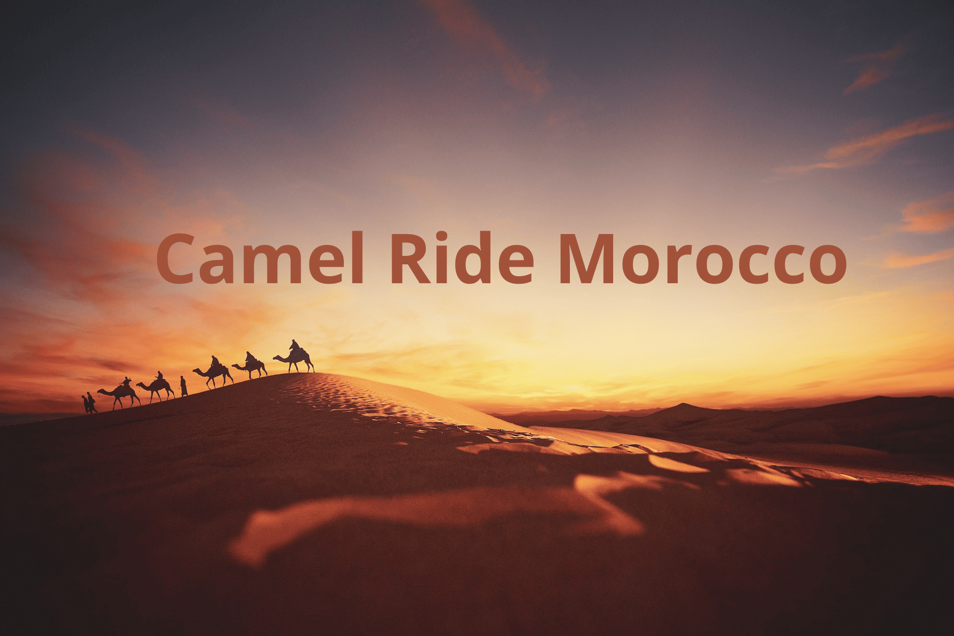 Top 7 Best Places To Ride a Caml In Morocco
