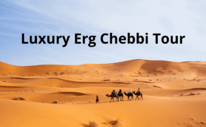 Luxury Erg Chebbi Tour