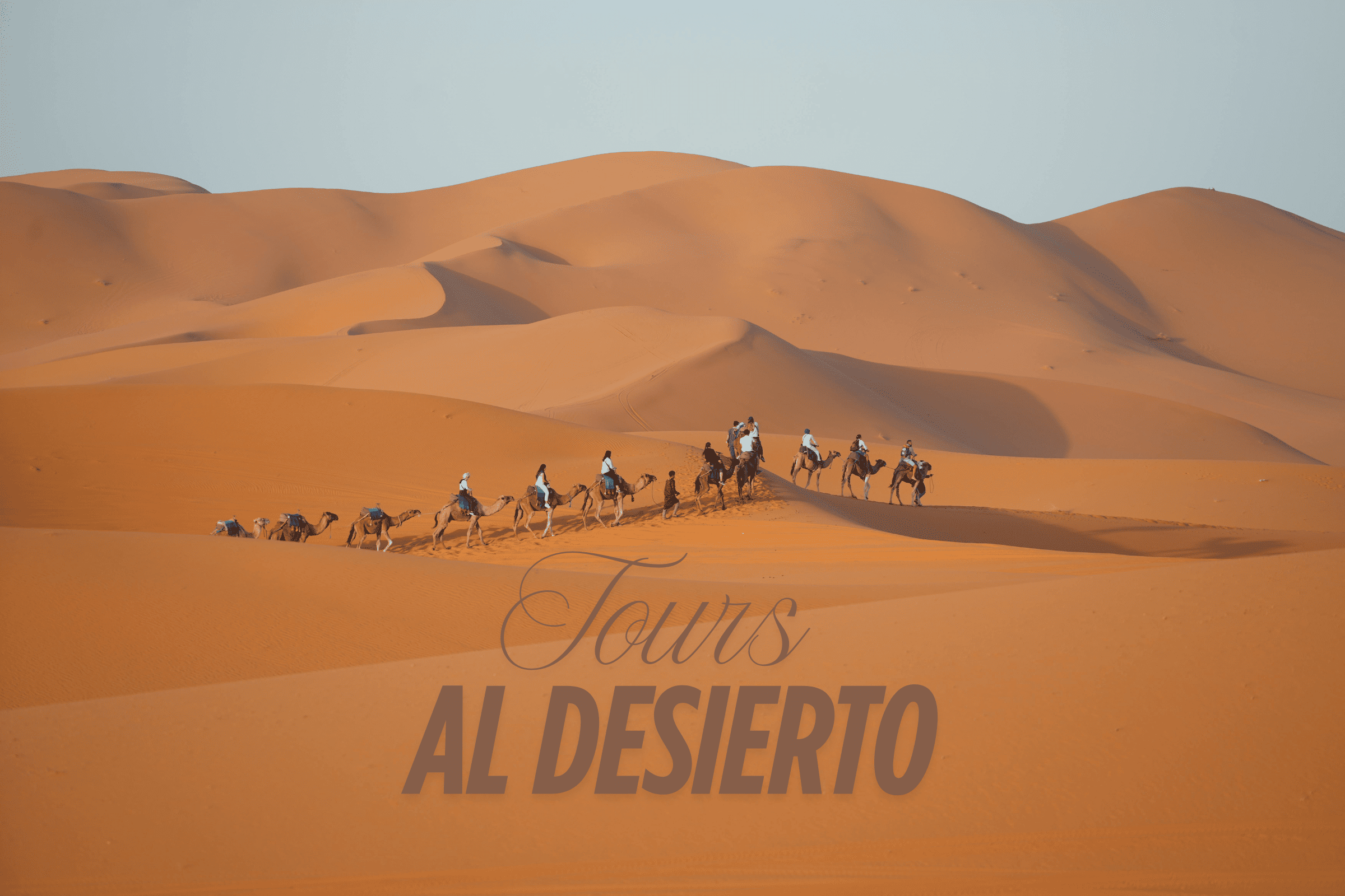 Tours al Desierto – Rutas desde Ouarzazate y Excursiones