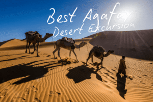 best Agafay desert excursion