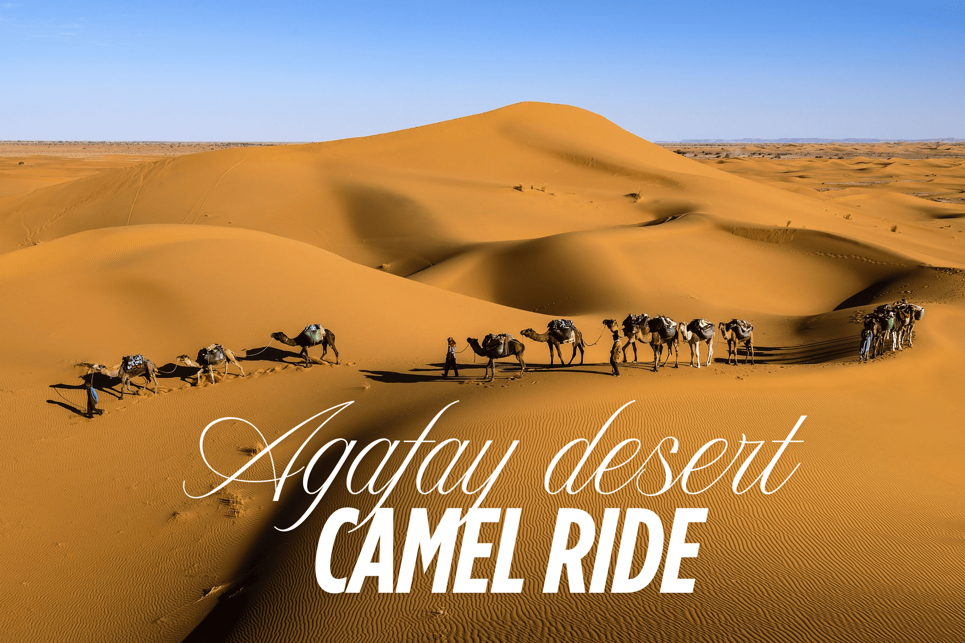 Agafay Desert Camel Ride and Quad Biking & Dinner