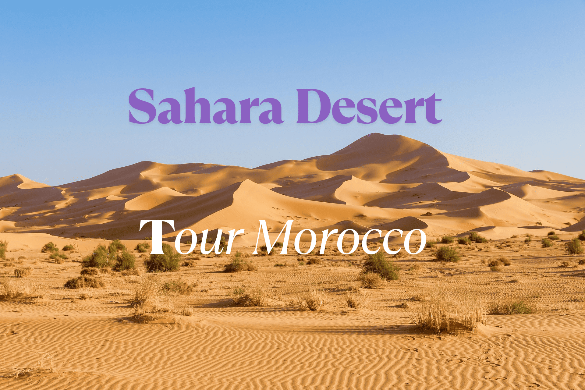 Travel Guide: Sahara Desert Tour in Morocco 2025/2026