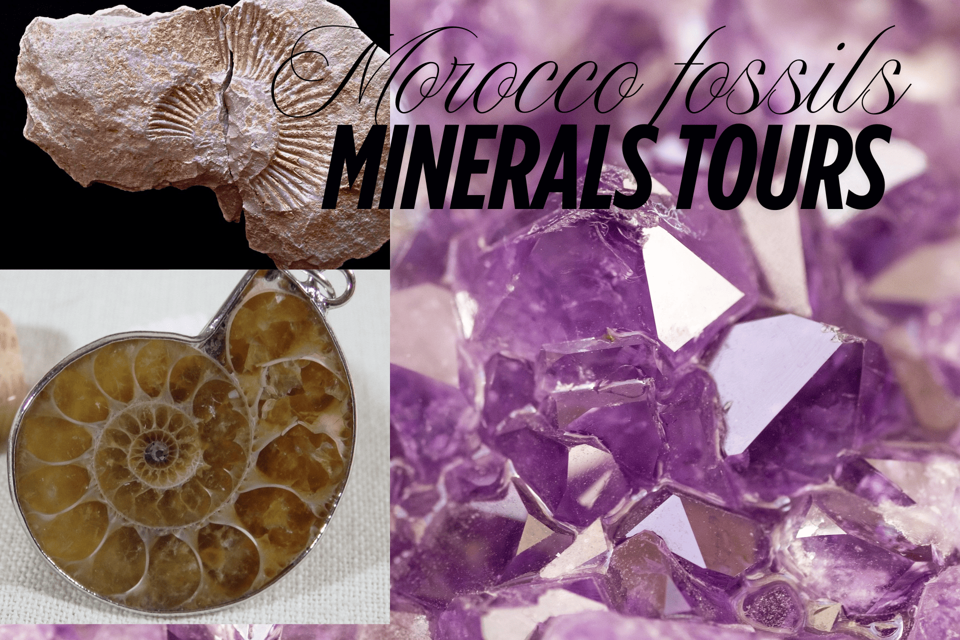 Morocco hunting fossils & Minerals Tours (2025)
