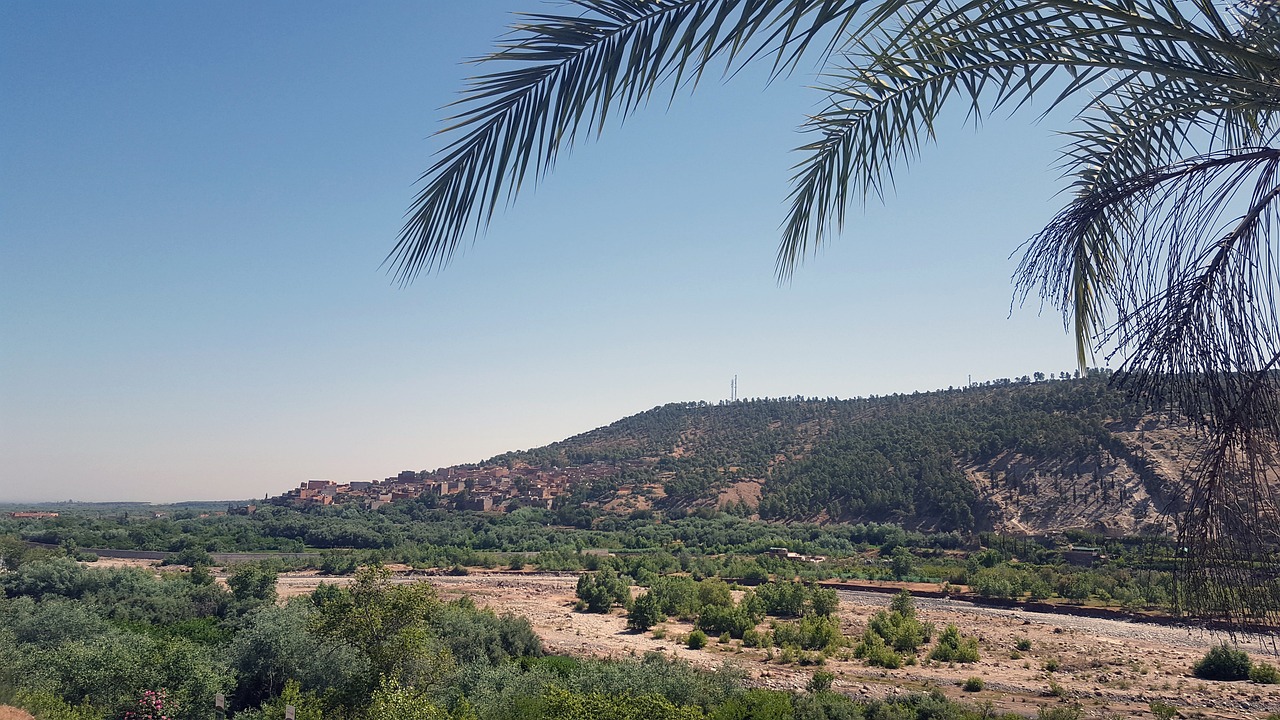 Complete Guide from Marrakech: What to See in the Ourika Valley