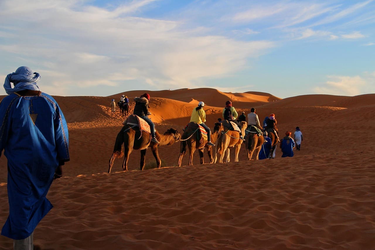 Best Private Morocco Tours 2025/2026 | Camel Trekking