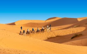 Overnight Camel Trekking Merzouga