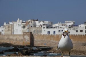 Kitesurf en Essaouira